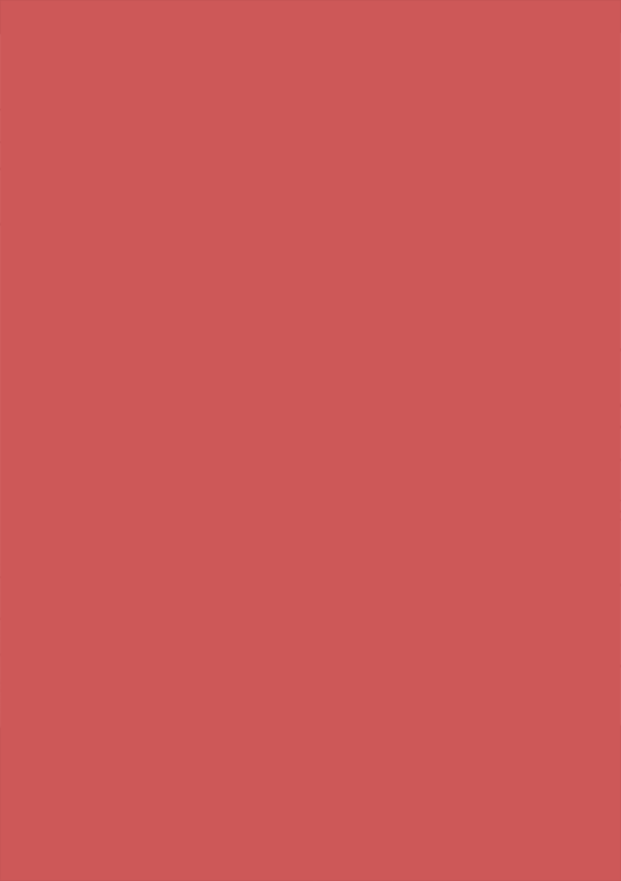 No Entry 019