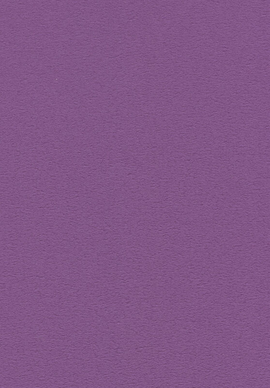 Prince Principle Renovation 002