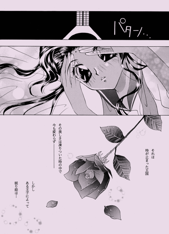 Rose Revue 1997 015