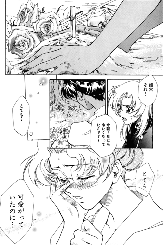 Rose Revolution 058