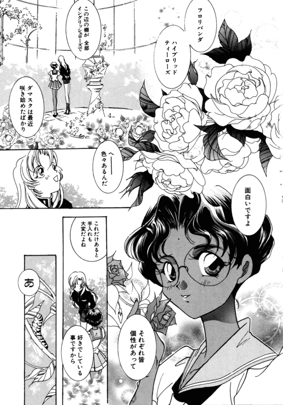 Rose Revolution 081
