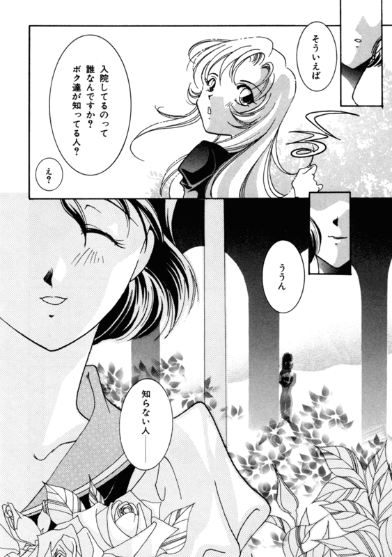 Rose Revolution 084