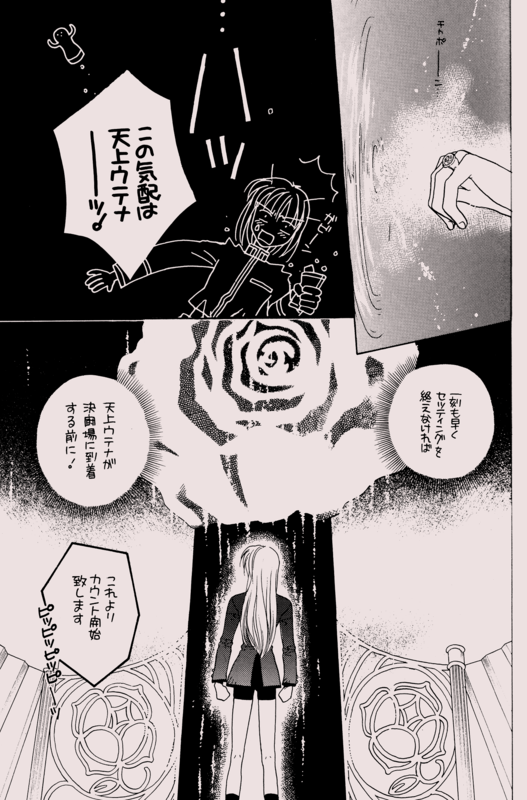 To You A Rose 31