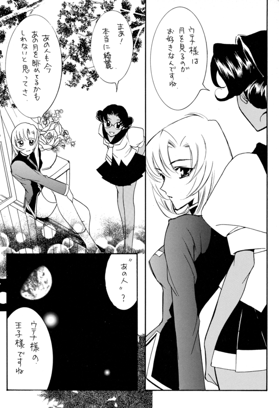 Pure Play 012