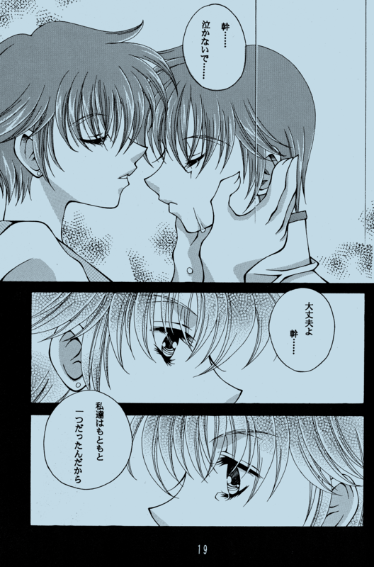 Real Rose 019