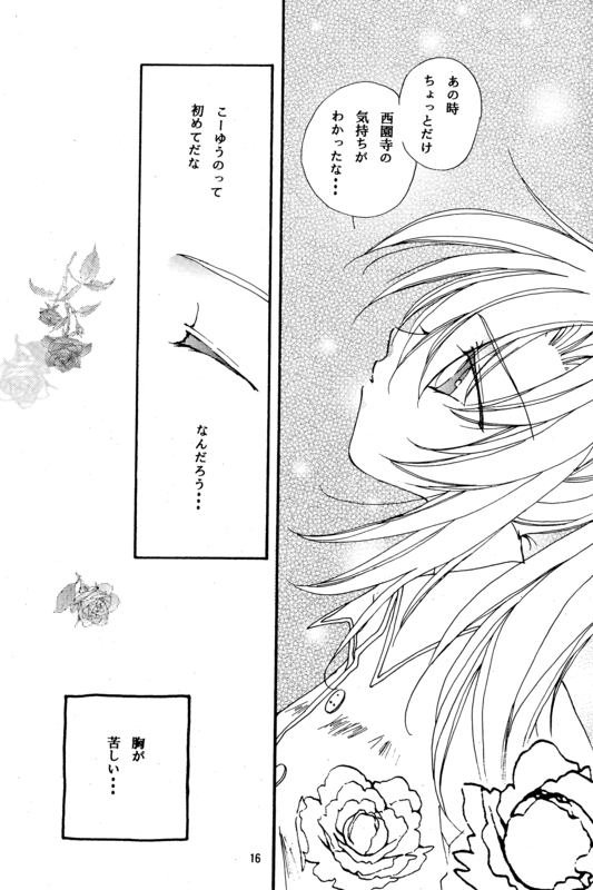 Romance Rose 016