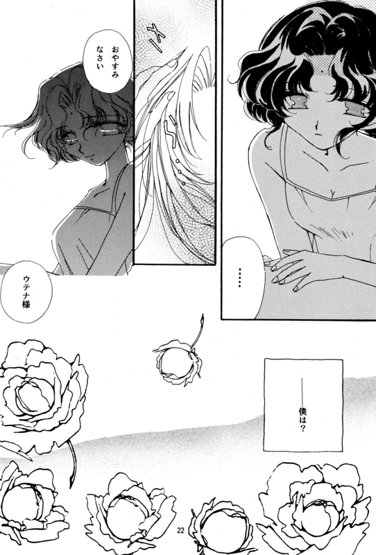 Romance Rose 022
