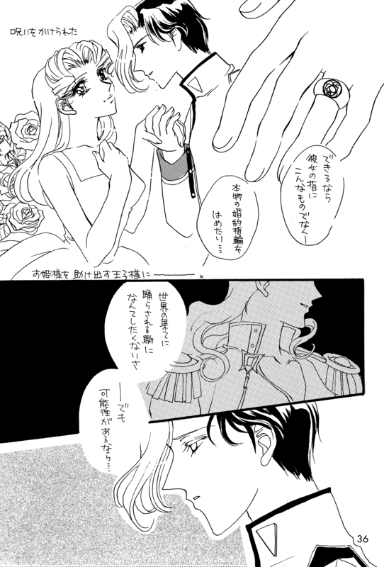 Memory of Fossils 036