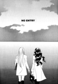 No Entry 005