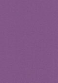 Prince Principle Renovation 002