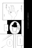 Prince Principle Renovation 031
