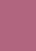 Bergerac Knight 002