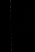 Movement 029