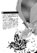 Successful Fate 040