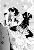 Romance Rose 003