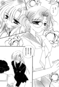 Romance Rose 009