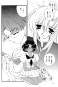 Romance Rose 010