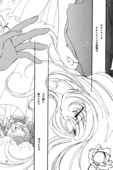 Romance Rose 020