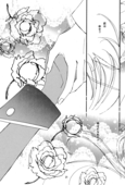 Romance Rose 021