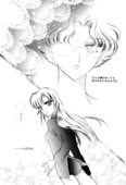Delicate 11