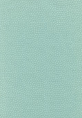 Flower 003