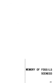 Memory of Fossils 028