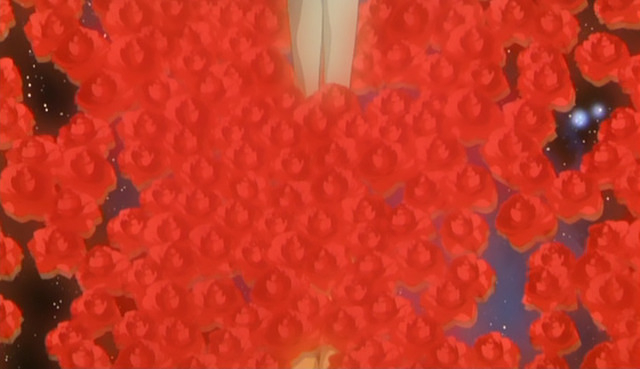 Movie Screen 0498