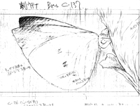 Art & Animation Sketches (From Books)