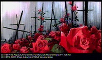 Set Design 21