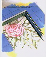 Set Design 30