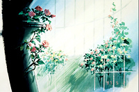 Rose Garden 09