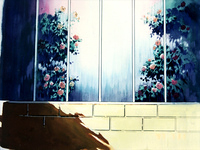 Rose Garden 11