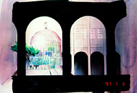 Rose Garden 22