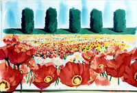 Roses Poppies 13