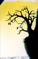 Trees 03