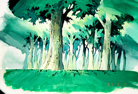 Trees 14