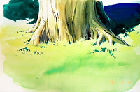 Trees 19