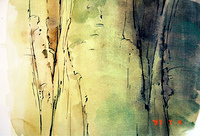 Trees 20